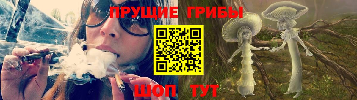Псилоцибиновые грибы Psilocybine cubensis Прохладный